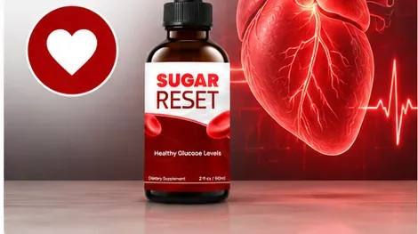 An illustration of a human heart with an ECG trace beside Sugar Reset